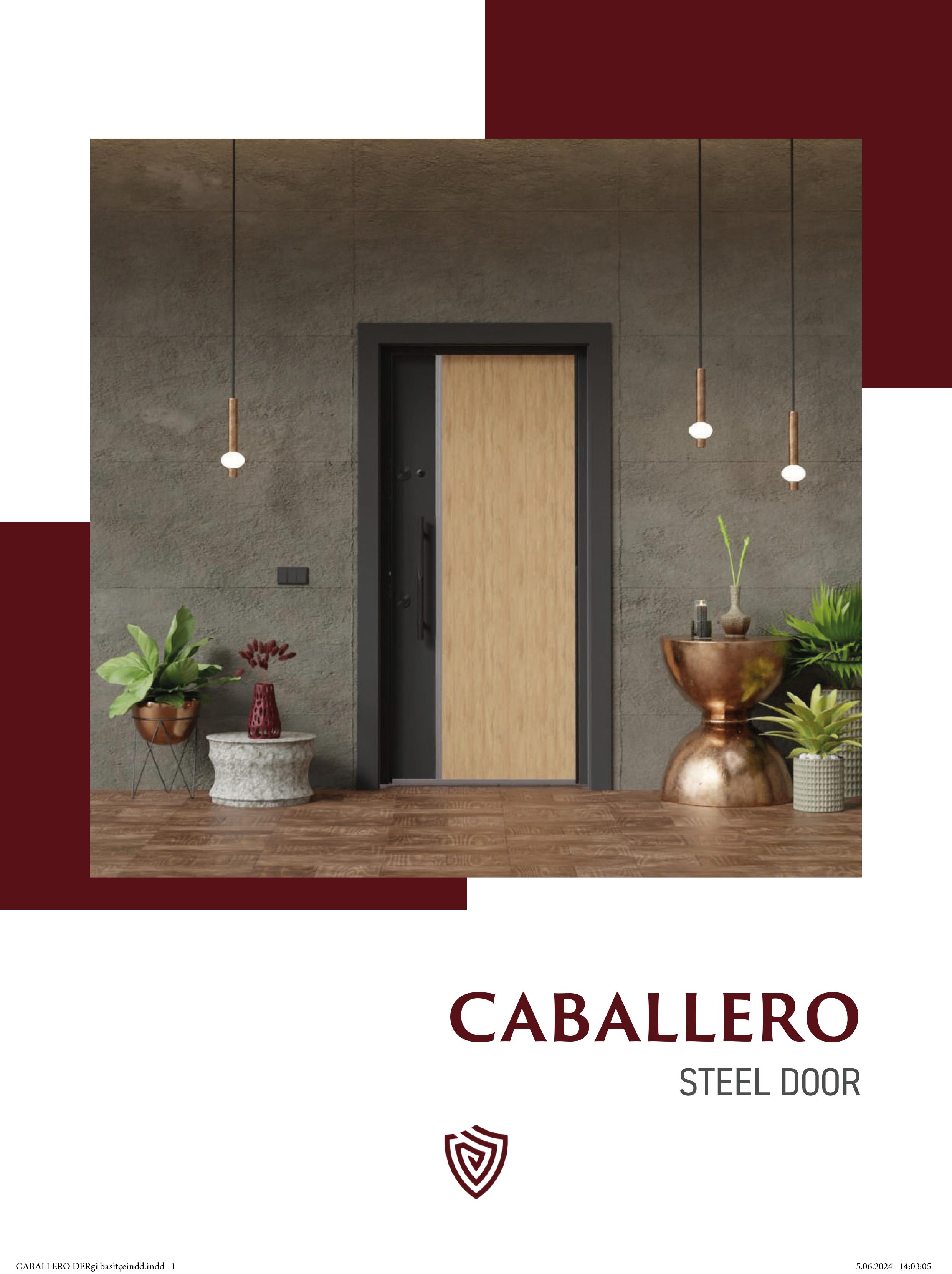 Caballero Steel Door